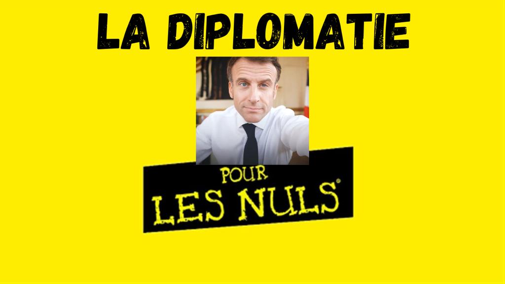 la diplomatie pour les nuls